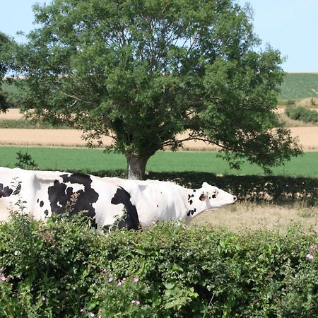 Vila Le Monalya Leubringhen Exteriér fotografie